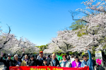 ĐOÀN KHÁCH TOUR NHẬT BẢN MÙA HOA ANH ĐÀO [8/4 - 13/4/2024]