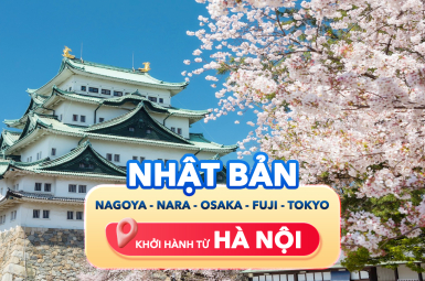 NHẬT BẢN - NAGOYA - NARA - OSAKA - FUJI - TOKYO