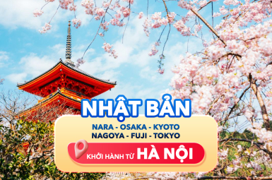 NHẬT BẢN - NARA - OSAKA - KYOTO - NAGOYA - PHÚ SĨ - TOKYO