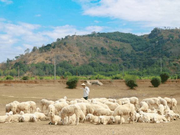 GỢI Ý 5 ĐIỂM DU LỊCH GẦN SÀI GÒN DÀNH CHO BẠN SAU DỊP TẾT NGUYÊN ĐÁN